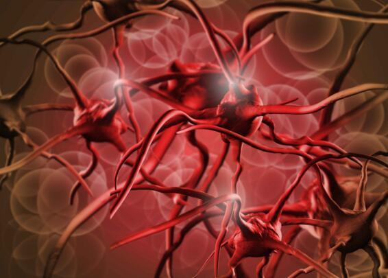 高血脂的五個表現(xiàn)癥狀及其重要性，了解、預(yù)防與治療，高血脂的五大表現(xiàn)癥狀，認(rèn)識、預(yù)防與治療的重要性