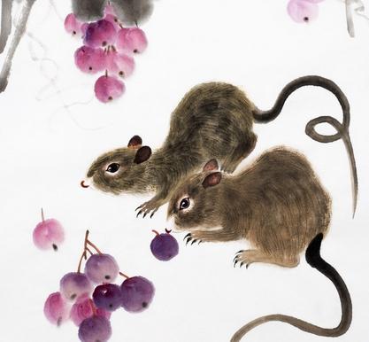 澳門六福生肖鼠開獎結(jié)果，揭秘彩票背后的神秘面紗，澳門六福生肖鼠開獎結(jié)果揭秘，彩票背后的神秘面紗展開