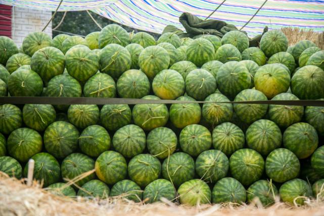 澳門一碼一肖預測，揭秘真相與風險應對，澳門一碼一肖預測揭秘，真相探索與風險應對策略