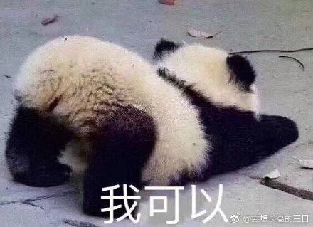 澳門四不像圖片大全——探索神秘的文化融合藝術(shù)，澳門文化融合藝術(shù)探索，四不像圖片大全