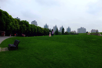 上海世紀公園是否需要門票？全面解析入園政策，上海世紀公園入園政策解析，門票需求與規(guī)定