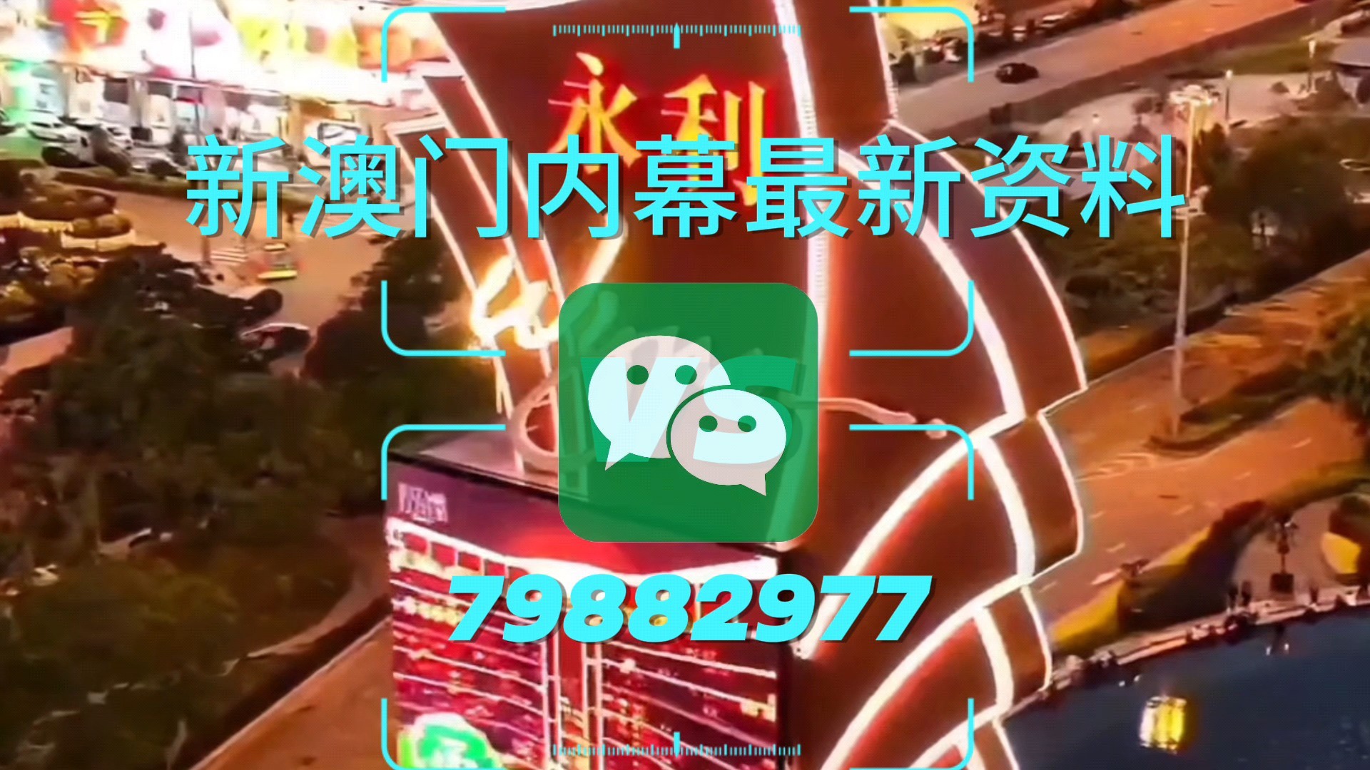 新澳門一肖一特一中，探索與解析，新澳門一肖一特一中，深度探索與解析