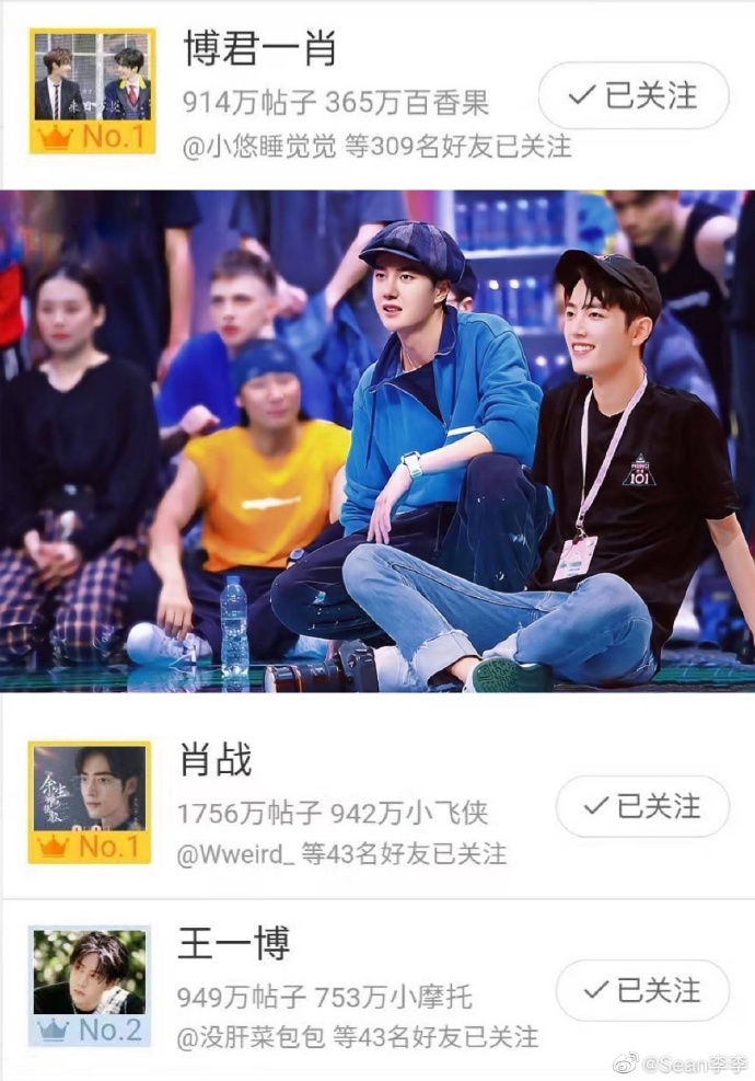 王中王一肖中特資料詳解，王中王一肖中特資料深度解析