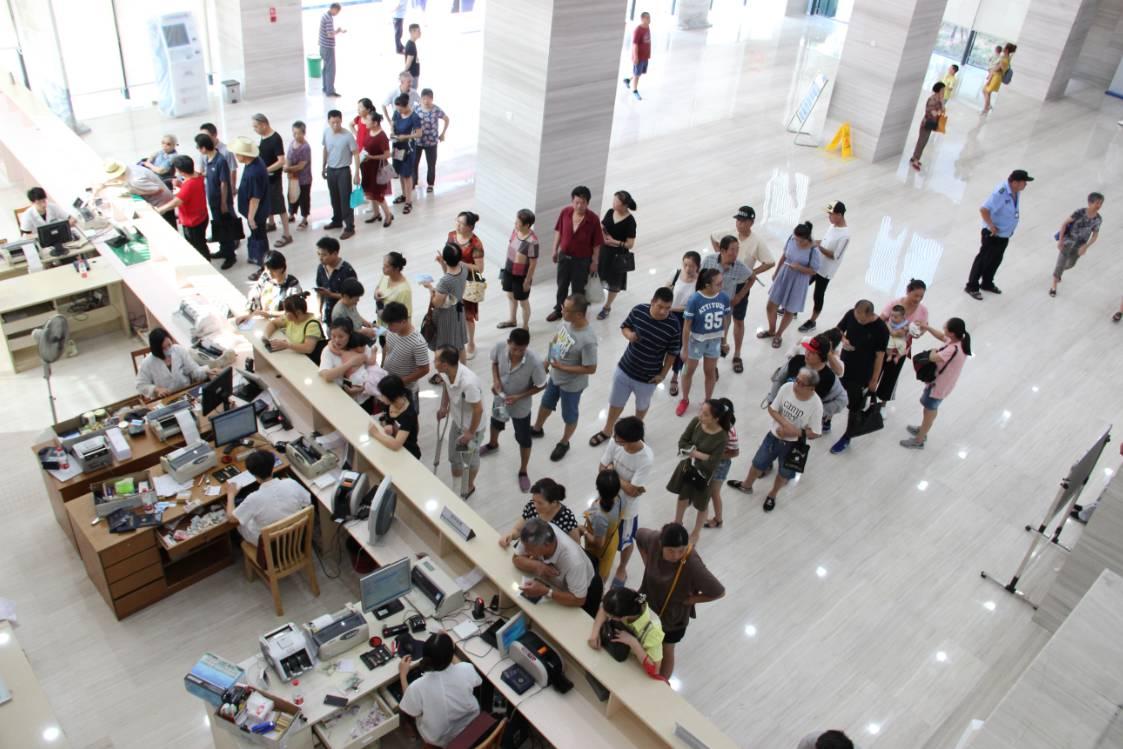 新門內(nèi)部資料，最新章節(jié)免費下載攻略，新門內(nèi)部資料最新章節(jié)免費下載攻略揭秘