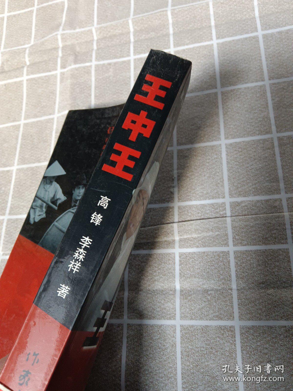 王中王資料一肖中官家，深度解析與探索，王中王資料揭秘，一肖中官家的深度解析與探索