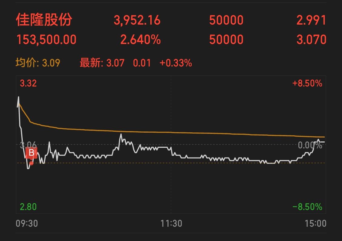 佳隆股份，引領(lǐng)行業(yè)前沿，展現(xiàn)企業(yè)卓越實(shí)力，佳隆股份，行業(yè)先鋒，卓越實(shí)力展現(xiàn)