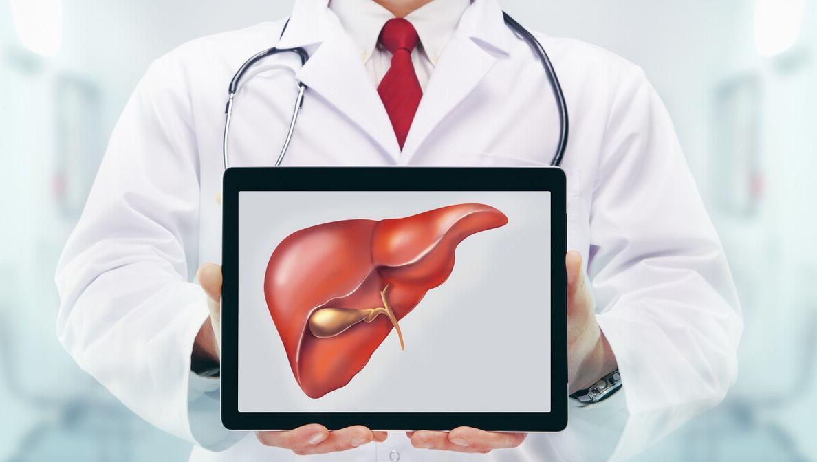 三七粉對肝臟的影響，護(hù)肝還是傷肝？，三七粉對肝臟作用解析，護(hù)肝還是傷肝？