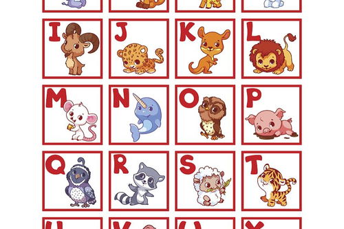 王中王016指一生肖，深度解析與SEO優(yōu)化策略，王中王016指定生肖，深度解析及SEO優(yōu)化策略全攻略