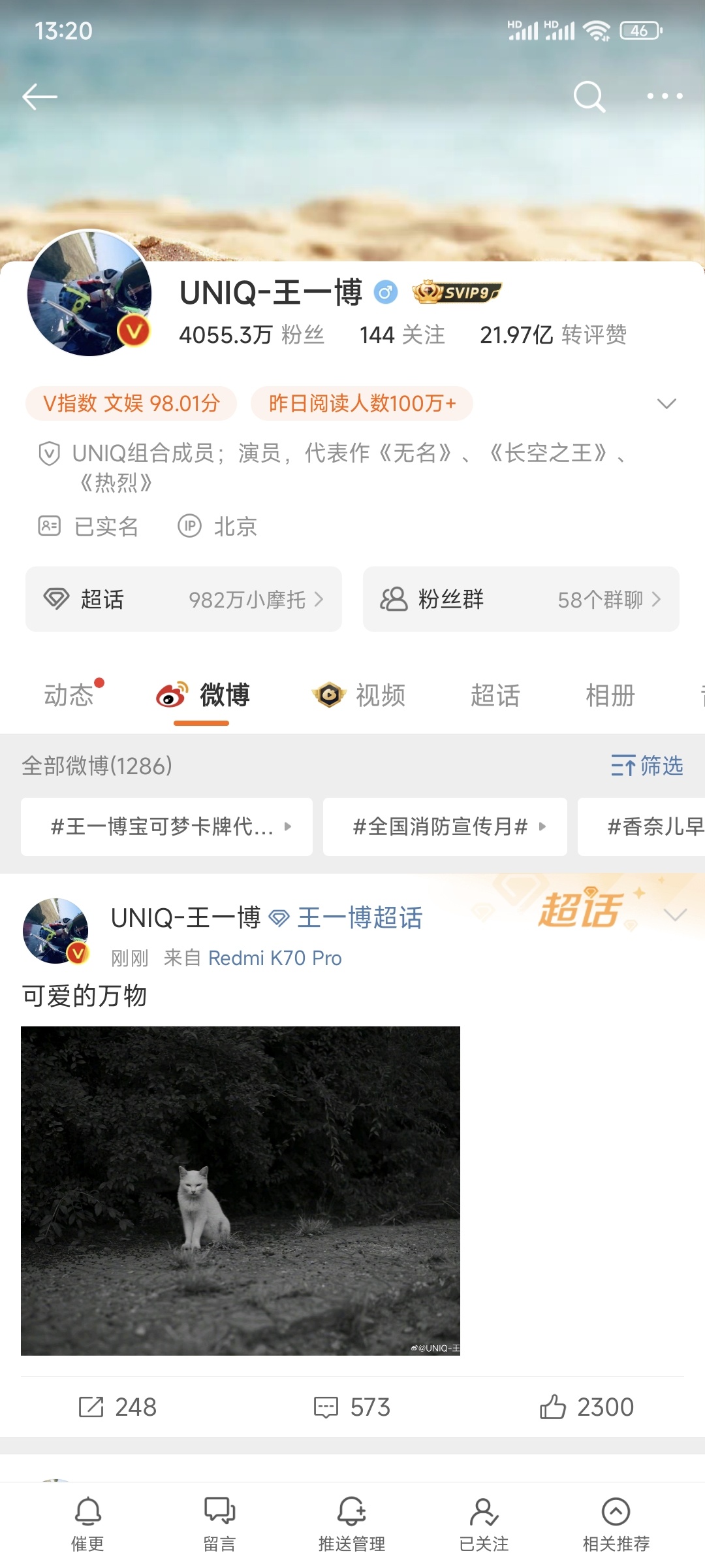 王中王一肖一，全年資料的深度解析，王中王一肖一全年資料深度解析