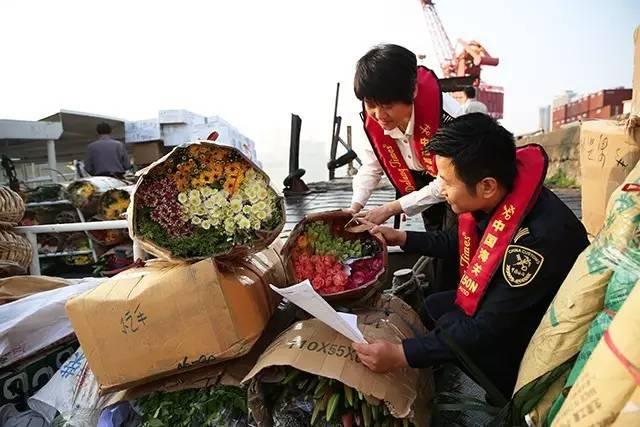 澳門六開獎(jiǎng)結(jié)果365期，揭秘彩票背后的秘密與策略分析，澳門六開獎(jiǎng)結(jié)果揭秘與策略分析，彩票背后的秘密與策略解讀第365期