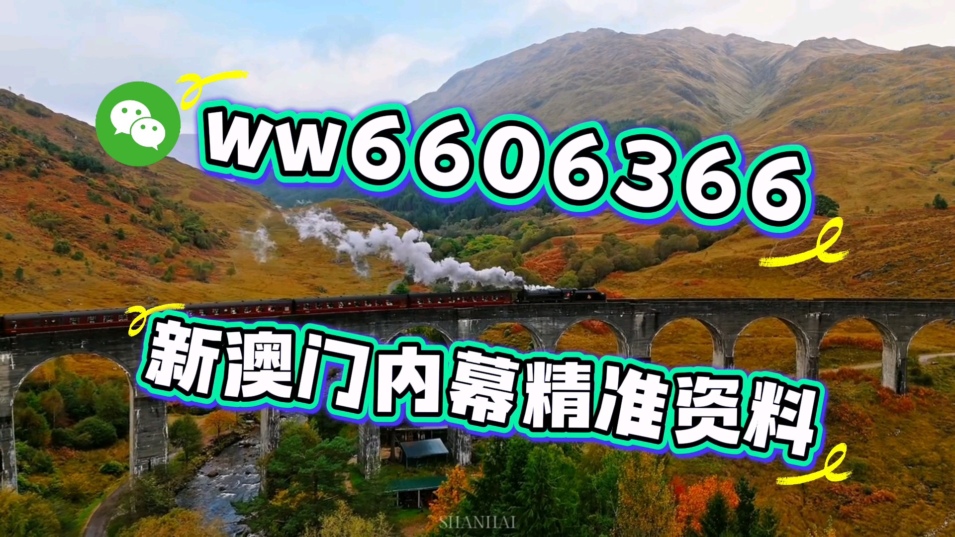 澳門期期準(zhǔn)一肖免費(fèi)手機(jī)版——揭秘生肖預(yù)測(cè)的精準(zhǔn)之道，澳門期期準(zhǔn)一肖預(yù)測(cè)揭秘，揭秘生肖預(yù)測(cè)精準(zhǔn)之道（手機(jī)版）