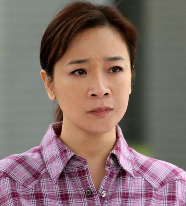 陳小藝主演的電視劇全部，回顧與解析，陳小藝主演電視劇回顧與深度解析