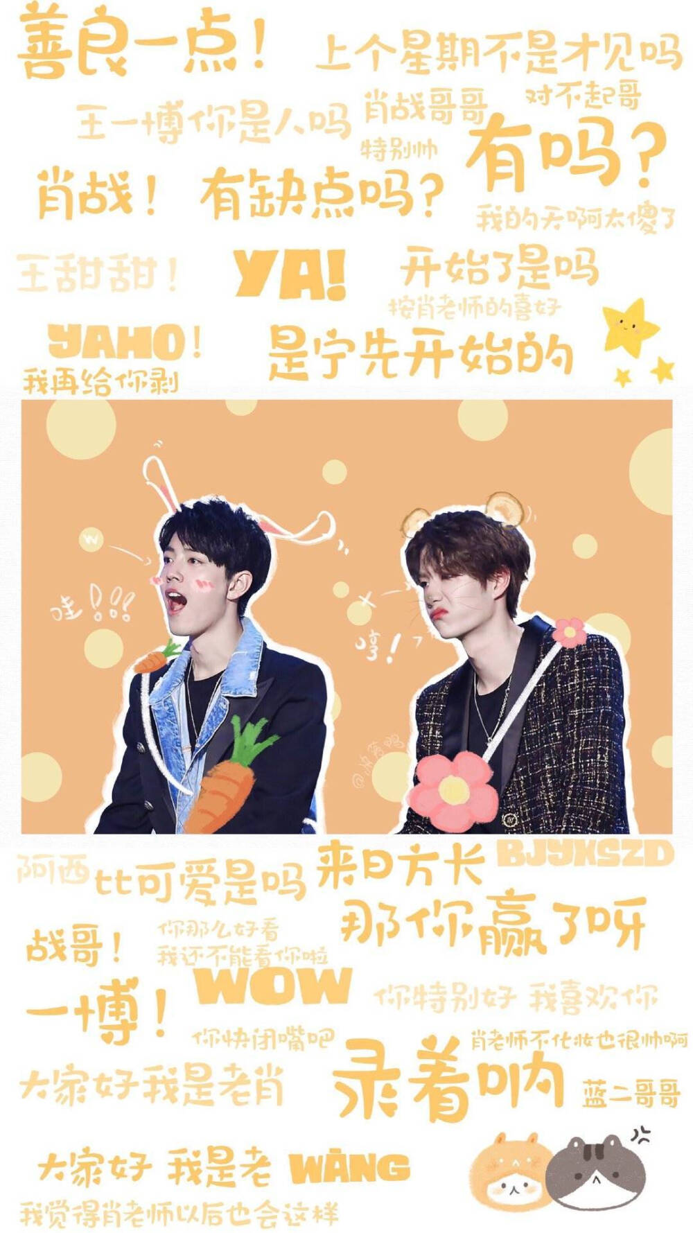 王中王一肖內(nèi)部資料詳解，王中王一肖內(nèi)部資料深度解析