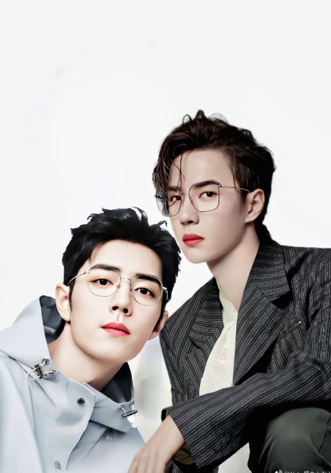 王中王一馬一肖兔費資料——深度解析與探索，王中王一馬一肖兔費資料深度探索與解析