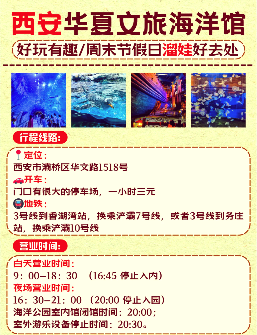 西安海洋館門票價(jià)格詳解，西安海洋館門票價(jià)格全解析